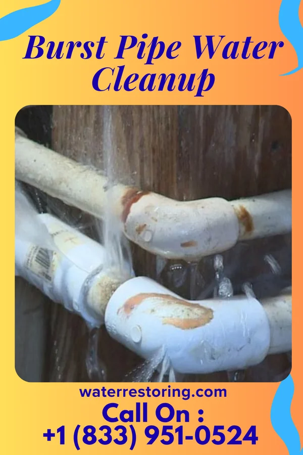 Burst Pipe Water Cleanup in Browns Point, WA